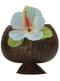 Vaso de coco hawaiano