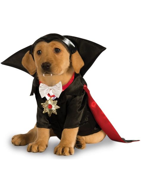 Kostým pro psa Dracula (Universal Studios Monsters)