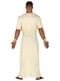 Elegant Greek God Costume for Men