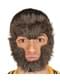 Poils pour le visage loup-garou adulte