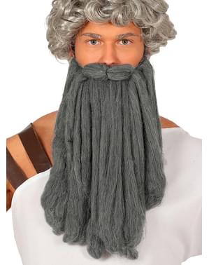 Barba comprida de idoso cinzenta para homem