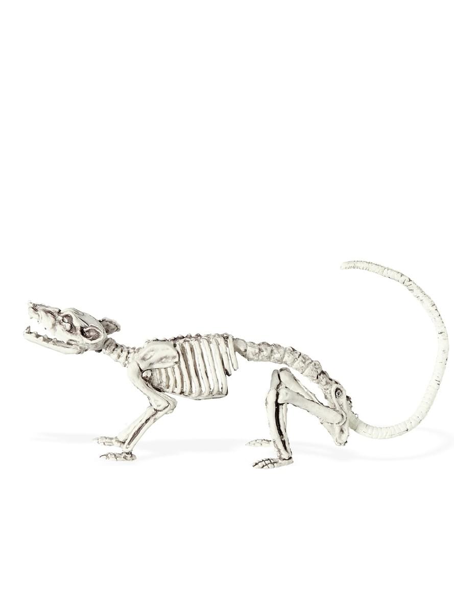 Mouse Skeleton