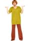 Disfraz de Shaggy - Scooby Doo