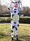Cow Adult Costume