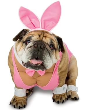 Dog's Playboy Bunny Costume