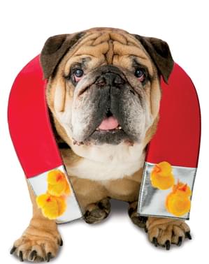 Dog's Magnet Costume