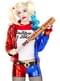 Harley Quinn kij