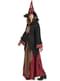 Charming Witch Adult Costume
