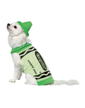 Fato de lápis de cera verde para cão