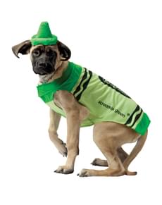 Dog's Green Crayola Costume