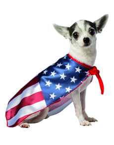 Dog's United States Flag Costume