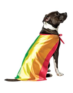 Homofil Stolthet Flagg Kostyme Hund