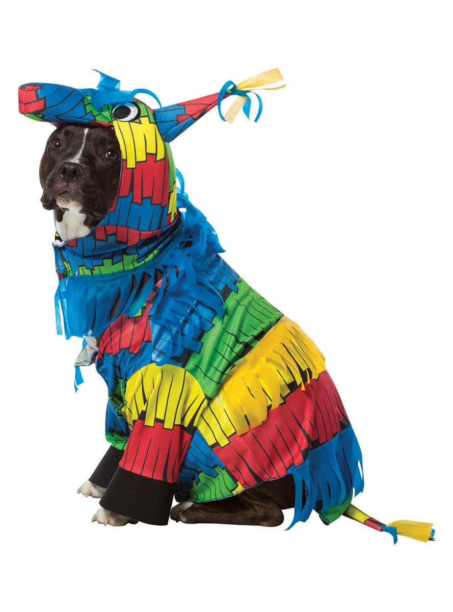 Dog's Piñata Costume
