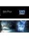 Harry Potter Patronus kleur veranderende mok