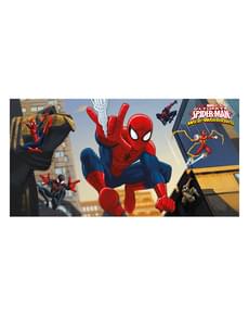Ultimate Spiderman Web Warriors Poster