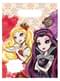 Rinkinys iš 6 Ever After High Bags
