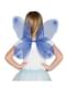 Ailes bleues enfant