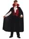 Vampire adult costume