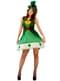 Woman's Irish Leprechaun Costume