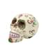 Day of the Dead koponya