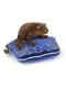 Coussin et peluche Harry Potter Grenouille en chocolat