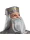Strój Dumbledore - Harry Potter