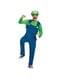 Luigi Costume for Adults