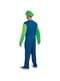 Costum Luigi pentru adult