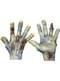 Zombie Undead Hands hænder