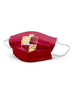 Bērnu Gryffindor maska - Harijs Poters