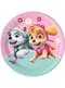 8 piatti PAW Patrol Skye & Everest (23 cm)