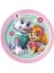 8 Paw Patrol Skye & Everest Plates (20cm)