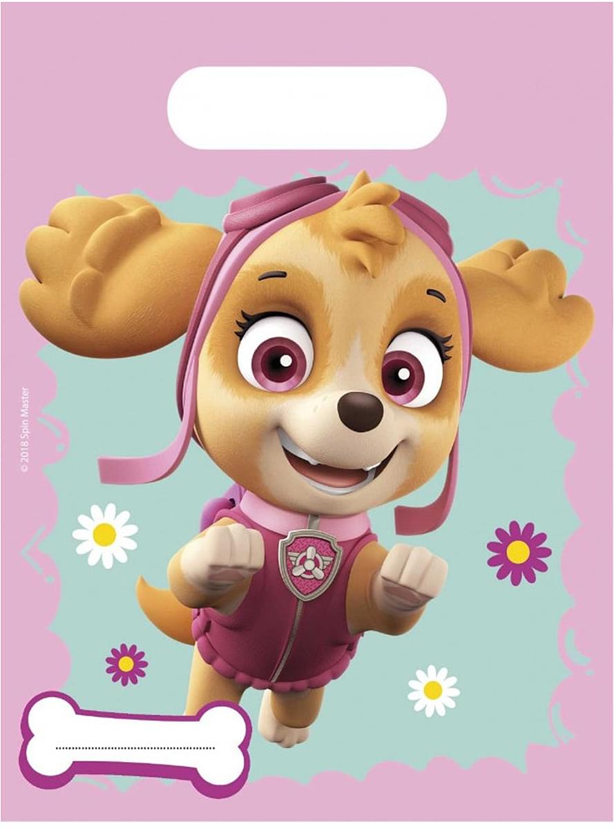 6 Paw Patrol Skye & Everest Party Bags