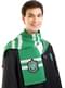 Slytherin skaut Harry Potter