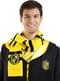Hufflepuff Harry Potteri sall