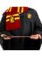 Varinha de Harry Potter
