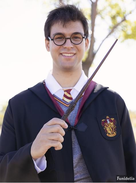 Baguette magique Harry Potter Ollivander ( Réplique Officielle). Les plus  amusants