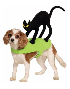 Costume da gatto sulla spalla per cane
