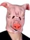 Masque cochon de ferme adulte