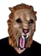 Adult's Wild Lion Mask
