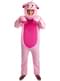 Pig Costume for Adults