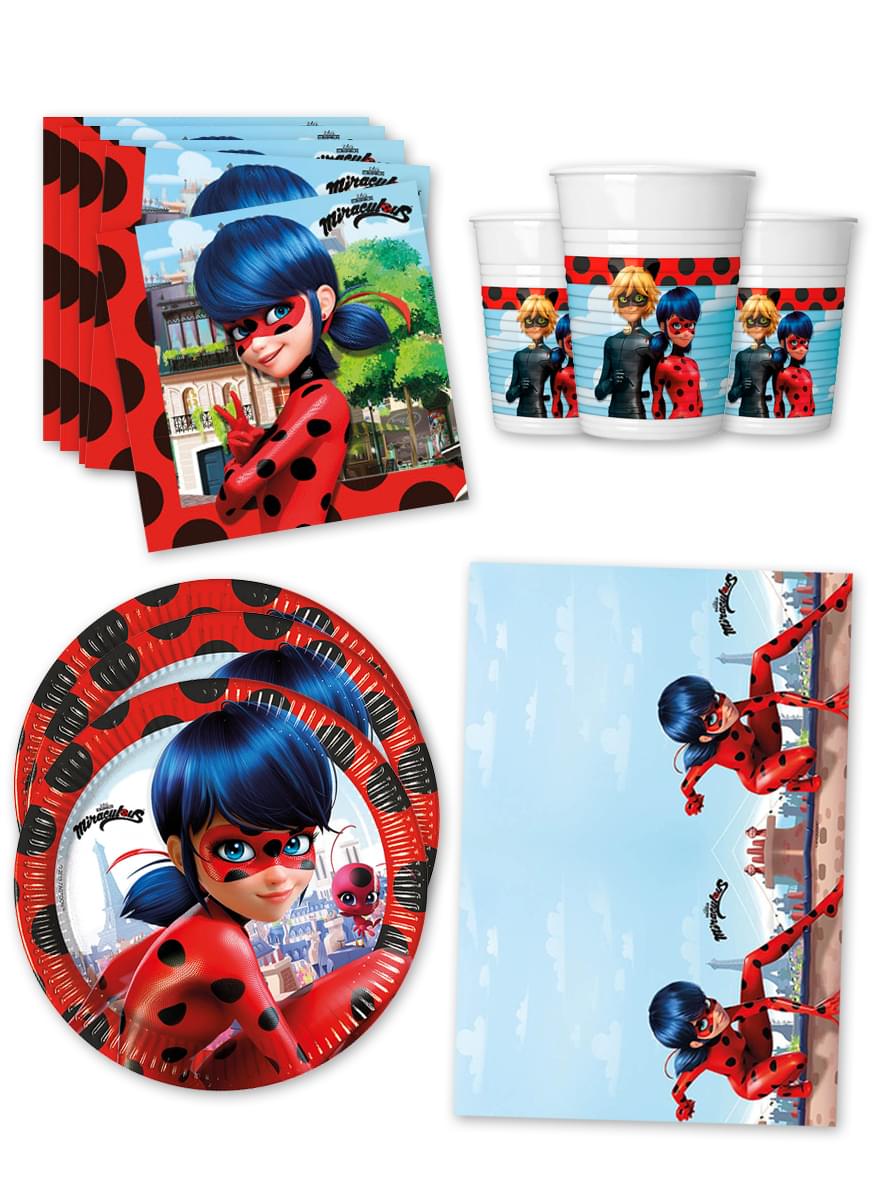 Ladybug Bursdagspynt for 16 Personer
