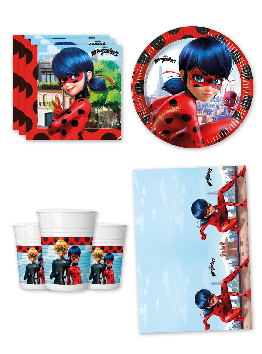 Ladybug Bursdagspynt for 8 Personer