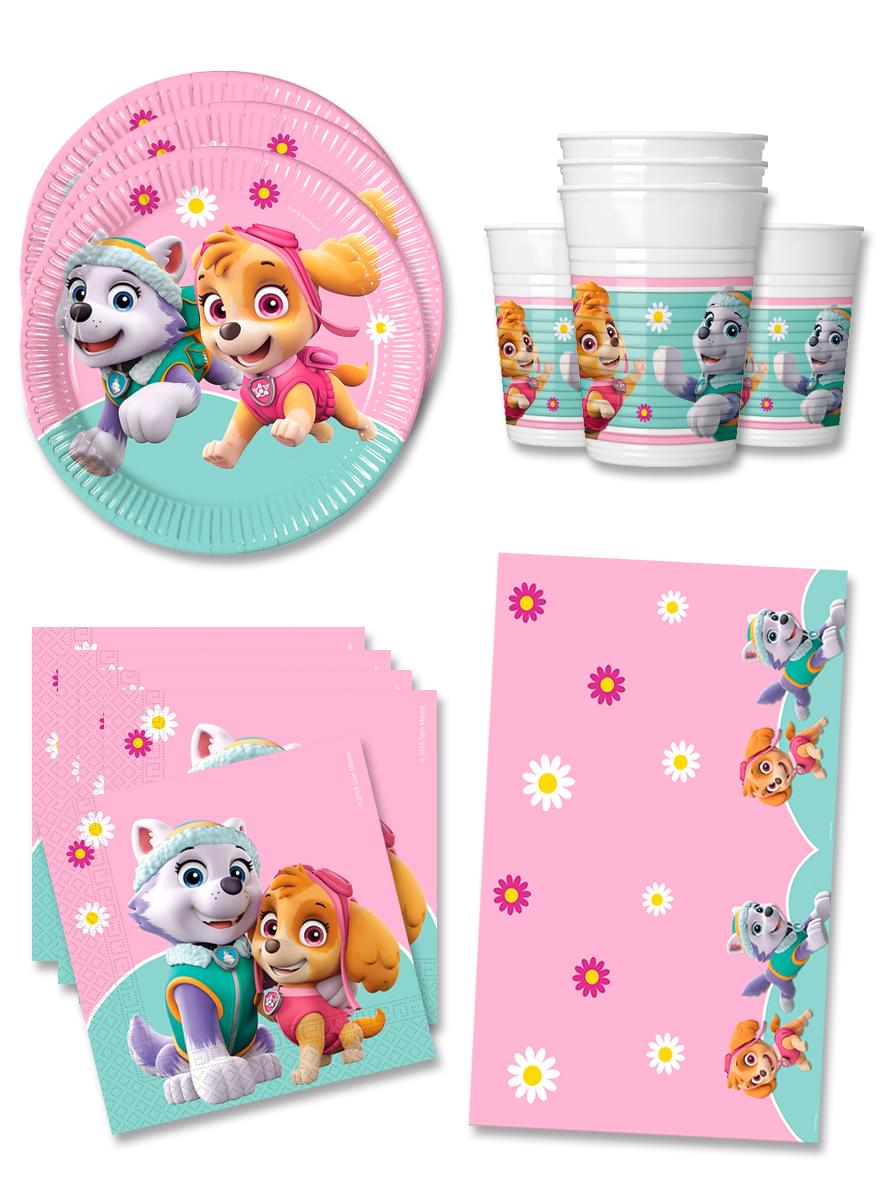Paw Patrol Birthday Decorations for 16 People - Skye & Everest