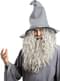 Parrucca e barba di Gandalf - Il signore degli Anelli