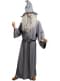 Gandalf Costume - The Lord of the Rings