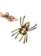 Golden Spider Decorative Figure