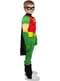 Robin Costume for Kids