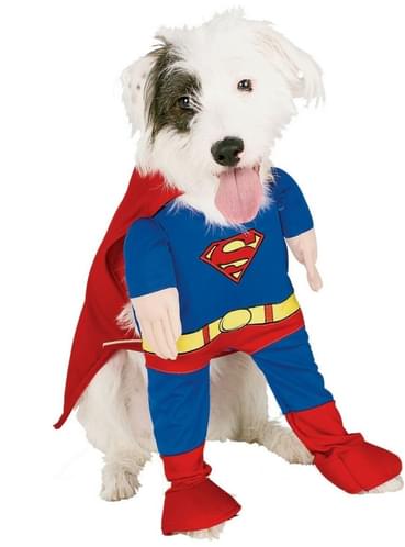 Costume Carnevale Cani Costume Superman Per Cane Taglia M