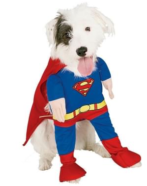 Costum Superman pentru cățel